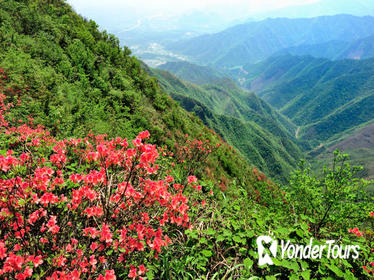 Private Tour: Yao Mountain and Tea Plantation from Guilin