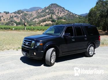 Private Transfer: Round trip transfer from San Francisco International Airport