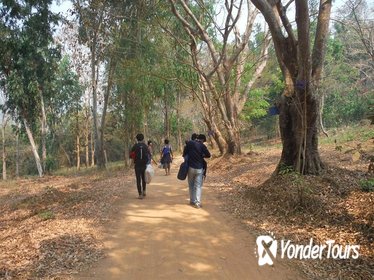 Private Trekking and Local Temple Day Tour in Chiang Rai