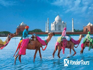 Private Trip : Agra Full-day Tour With Taj Mahal , Agra Fort & Fatehpur Sikri
