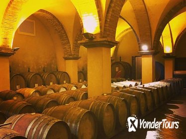 Private Tuscany Wine Tour Experience from Florence