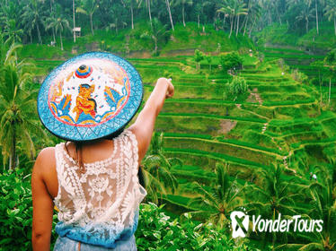 Private Ubud Tour