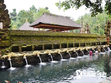 Private Ubud Tour: Batubulan Village, Tirta Empul Temple, Monkey Forest with Lunch