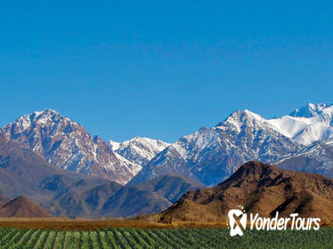 Private Uco Valley Tour including Lunch and Wine Tasting from Mendoza