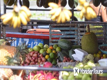 Private Vinh Long and Cai Be Floating Market Day Trip from Ho Chi Minh City