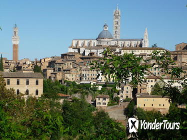 Private Walking Tour: Siena and its Treasures