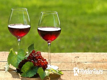 Private Wine Tasting Tour from Makarska Riviera to Peljesac Peninsula