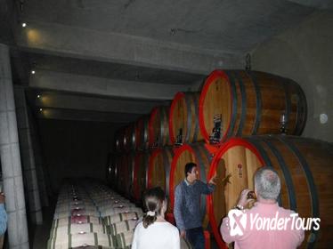 Private Wine Tour in Valparaíso