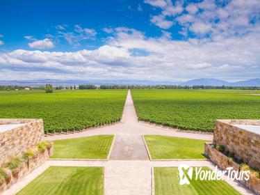 Private Wine Tour of Lujan De Cuyo from Mendoza