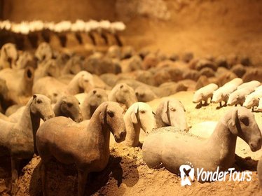Private Xi'an Tour: Terracotta Warriors, Hanyangling Museum, Cave Homes