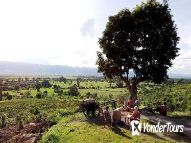 Private: Cycling to a Vineyard to enjoy Sunset and Wine from Inle Lake