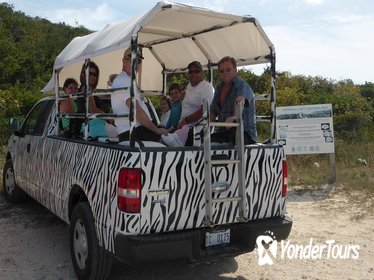 Providenciales Sunset Safari Tour Providenciales Sunset Safari Tour