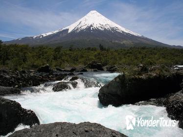 Puerto Montt Shore Excursion: Petrohu e Falls Tour