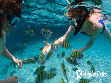 Puerto Plata Snorkeling Tour