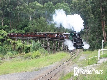 Puffing Billy (Dandenong Ranges & Brighton Bathing Boxes ) Experience