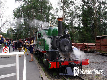 Puffing Billy Train With Optional Penguin Parade or Melbourne City Tour