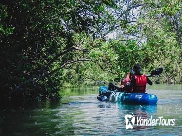 Pulau Ubin Mangrove Kayak Adventure from Singapore