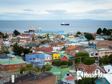 Punta Arenas Shore Excursion: City Sightseeing Tour