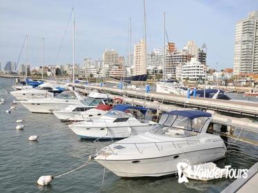 Punta del Este City Sightseeing Tour