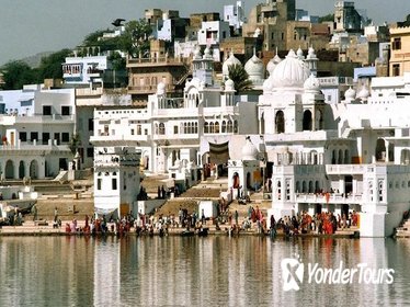 Pushkar Private Day Trip