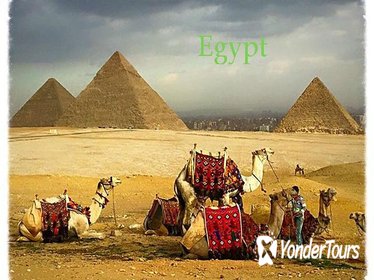 Pyramids and Saqqara day tour