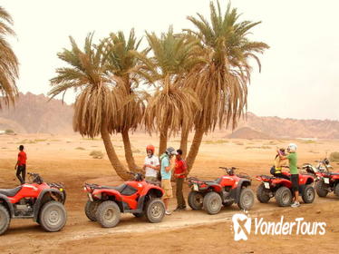 Quad Biking in Dahab