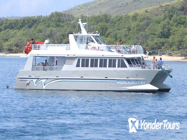 Quicksilver Lanai Snorkeling and Dolphin Encounter Quicksilver Lanai Snorkeling and Dolphin Encounter