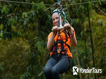 Rainforest Adventures Adrenaline Tour Pick From Pier