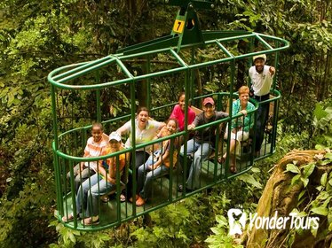 Rainforest Adventures Aerial Tram Tour