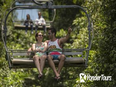 Rainforest Adventures Jamaica Mystic Mountain Sky Explorer Tour
