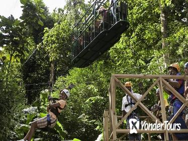 Rainforest Adventures Ultimate 3 Tour With Transfers From Pier