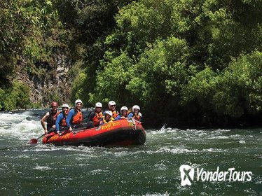 Rangitaiki River White Water Scenic Rafting from Rotorua