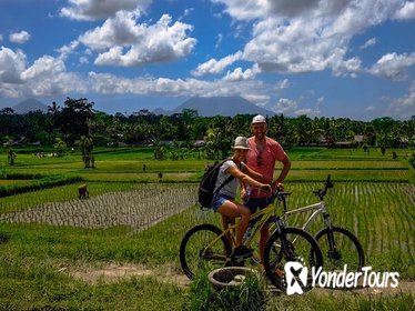Rare Beauty of Bali Private Bike Tour from Ubud