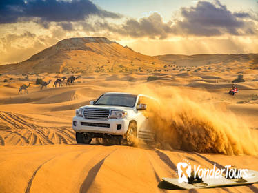 Red Dune Safari with Sandboarding, Camel Ride & BBQ Options