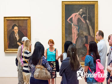 Renegade Metropolitan Museum of Art Tour with Skip-the-line Access