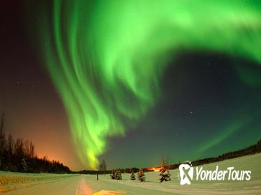 Reykjavik Shore Excursion: Northern Lights Tour