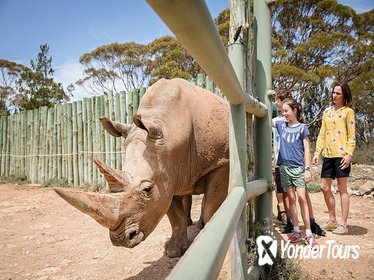 Rhino Interactive and a day at Monarto Zoo