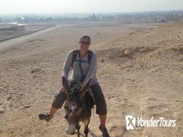 Ride a Donkey Along the West Bank from Luxor