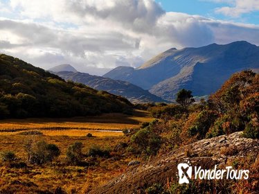 Ring of Kerry Full-Day Guided Tour from Cork