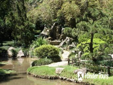 Rio de Janeiro Botanical Garden Tour