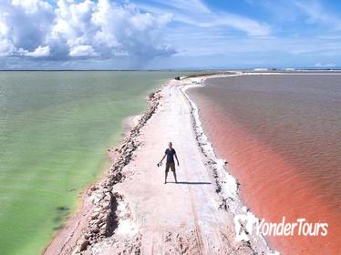 Rio Lagartos, Coloradas & Ek Balam Cenote from Cancun