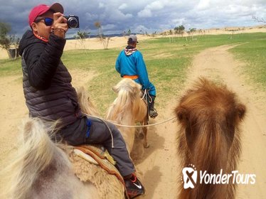 Road Trip to Mini-Gobi Elsen Tasarkhai