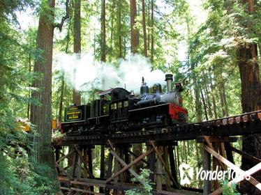 Roaring Camp Steam Train Through Santa Cruz Redwoods