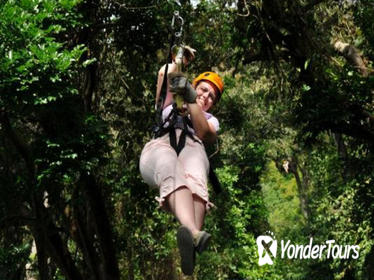 Roatan Shore Excursion: Zip 'n' Dip Canopy Tour