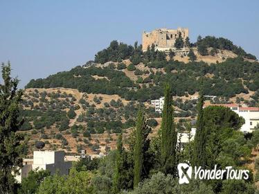 Roman Architecture and Natural Forests Tour from Amman