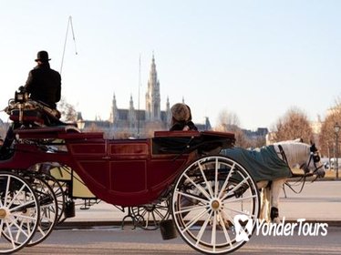 Romantic Vienna Combo: Vienna Card, Horse and Carriage Tour, Belvedere Palace and Candlelight Dinner