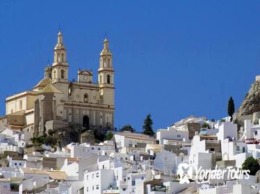 Ronda and White Villages Guided Day Tour from Seville