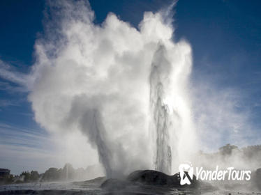 Rotorua Geothermal Geyser Tour and Kiwi Fruit Orchard Themed Cart Ride