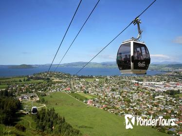 Rotorua Gondola with optional Luge Ride
