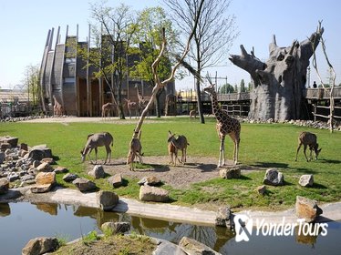 Rotterdam Zoo Diergaarde Blijdorp Direct Entrance Ticket